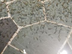 -汤乐汇•足道•SPA生活馆