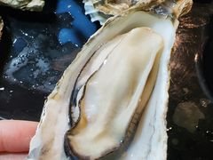 -大富蚝乌东哥饭店·石锅鱼杂·柠檬鸭(革新路店)