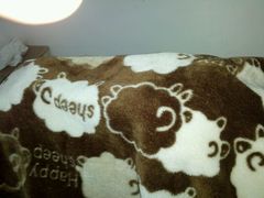 android_upload_pic-太乙盲人推拿按摩连锁(星洲店)