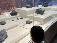 -辽宁古生物博物馆