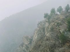 -北京鹫峰国家森林公园