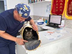 -良伴无忧宠物医院(泰欣嘉园店)