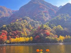 -秦岭终南山世界地质公园翠华山景区