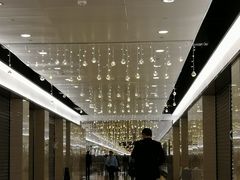 -1828王老吉·草本新茶(珠江新城地铁站店)