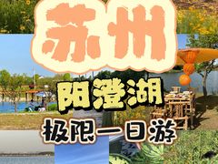-七的湖·晚芳亭·阳澄湖农家菜·大闸蟹(莲花岛店)