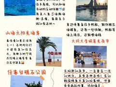 -日照海滨国家森林公园