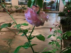 -遇见小院—虹鳟鱼•农家菜(怀柔店)