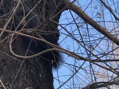 -长春公园(普阳街道)