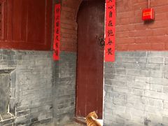 -洛阳白马寺