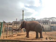-昆明动物园