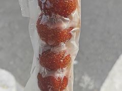 无核山楂糖葫芦-和禄德冰糖葫芦