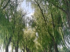 -北陵公园