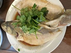 -天鹅到家·保姆月嫂育儿嫂(天河店)