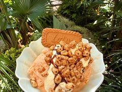 -菌自由丨野生菌火锅特色庭院餐厅(丽江古城店)