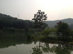 1.4-镇江市南山风景名胜区竹林景区