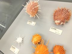 -天津古林古海岸遗迹博物馆