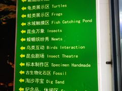 -上海大自然野生昆虫馆(东方明珠·爬宠昆虫探索中心)
