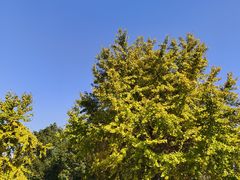 -苏州河梦清园环保主题公园