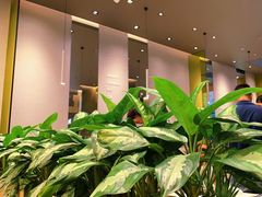 -乐凯撒披萨(喜荟城店)