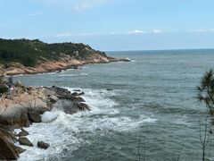 -广东惠东海龟国家级自然保护区