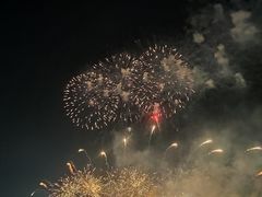 -九龙湖公园