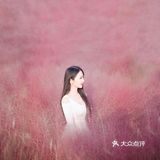 济南最大免费粉黛子