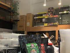 -酷以爬仙阁实体爬宠店·守宫·蜥蜴·专业繁育