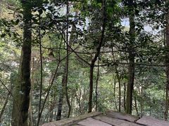 -青城山