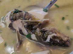 汪刺鱼豆腐汤-印象江南(东栅店)