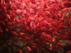 -波塞冬旅游度假区