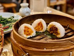 茨毛圆子-双塔老饭店