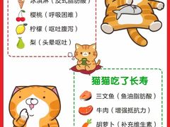 -守诺宠物医院·眼科· 特色牙科·异宠专科(虹口店)