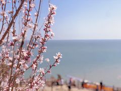 -东戴河风景区-止锚湾