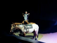 -cavalia·舞马