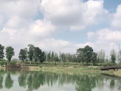 -秀丽东方