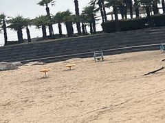 -碧海金沙