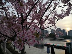 -新江湾城公园