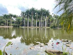 -中国科学院西双版纳热带植物园