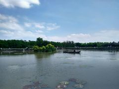 -大湾区中央湿地公园