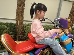 -南宫五洲植物乐园