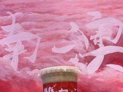 -南澳岛打卡果汁冰公司