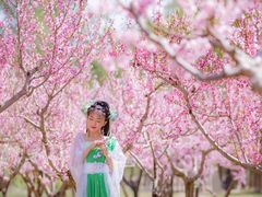 -九月鹰飞汉服摄影工作室