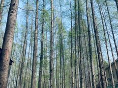 -南京金牛湖风景区