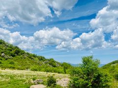 -白草畔自然风景区