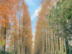 -滨海高尔夫俱乐部