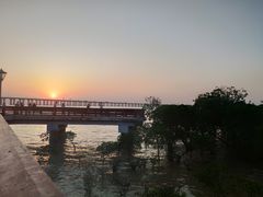 -宝安西湾红树林湿地公园