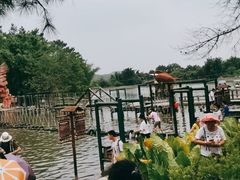 -牛鱼嘴原始生态风景区