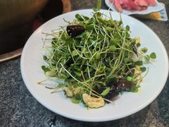 豌豆苗-竹叶涮肉坊(总店)