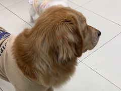 -怪兽屋·羊驼·猫咖·狗咖(俊华广场店)