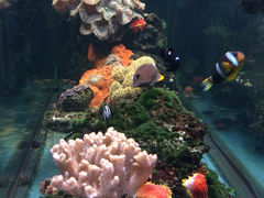 iphone_upload_pic-金象湾泰国餐厅(华林路店)